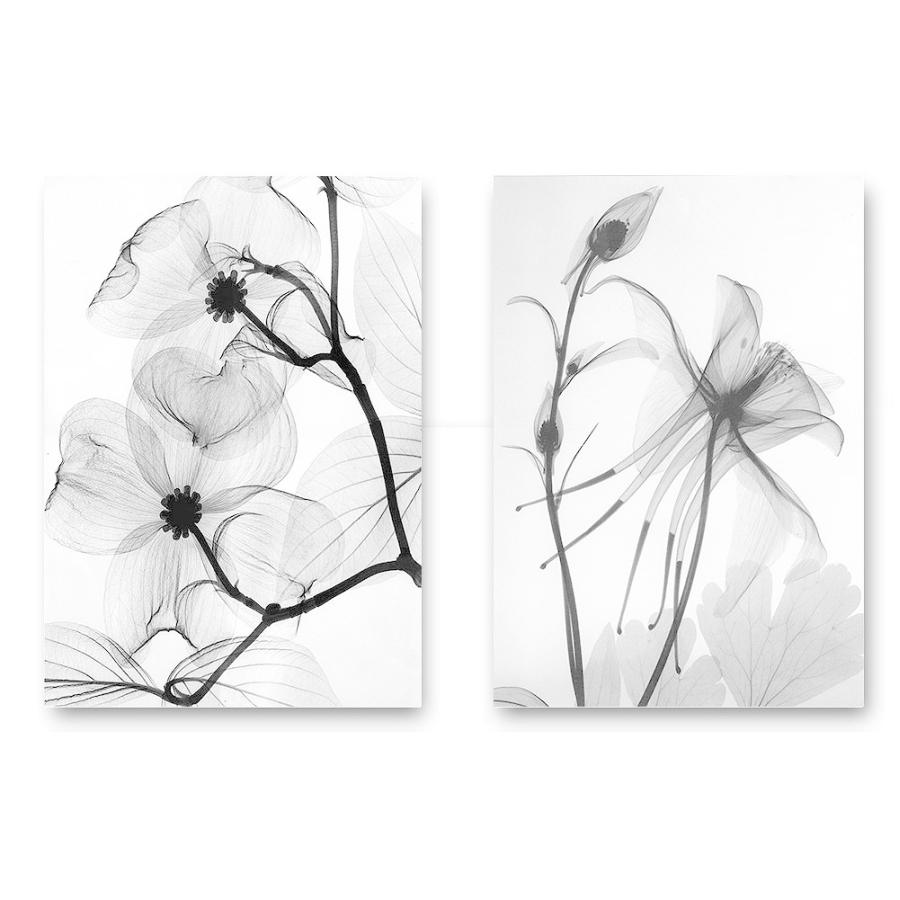 ポスター おしゃれ アートポスター 絵画 壁 絵 モノクロ写真シリーズ レントゲンアート花2枚セット A3 Ska 2set スケッチ 通販 Yahoo ショッピング
