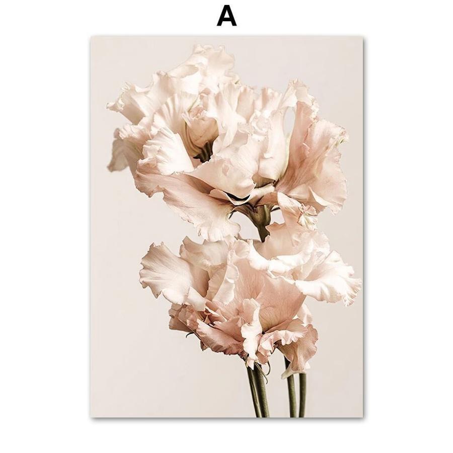 ポスター おしゃれ アートポスター 植物 花 ピンクシリーズ デザインno A A3 Ska A スケッチ 通販 Yahoo ショッピング