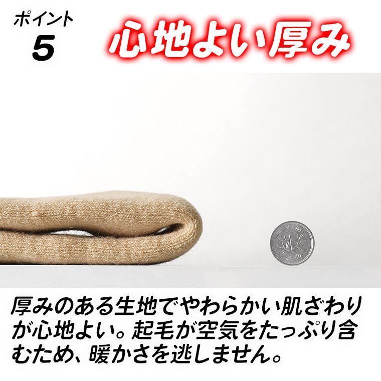 もちはだ 旧パッケージ品 裏起毛 防寒 あったか インナー タイツ