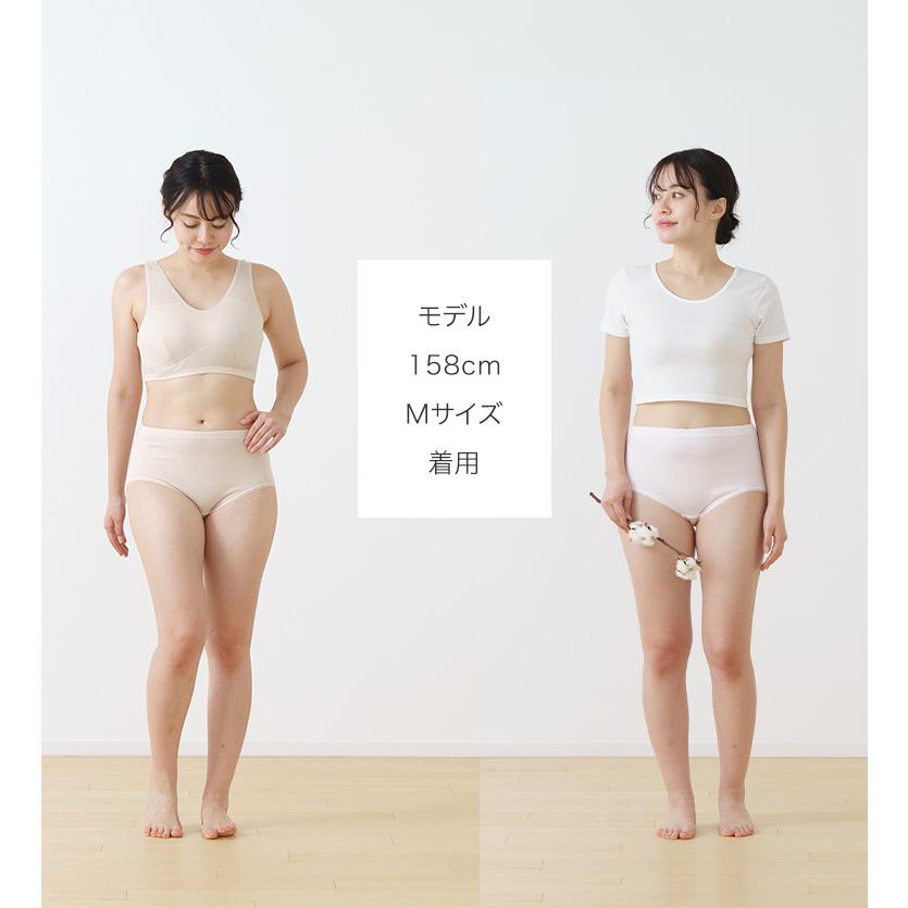 白鷺ニット 日本製 綿ガーゼ スタンダード ショーツ 2枚セット