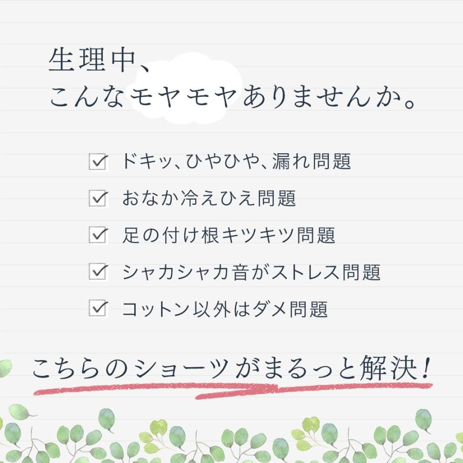 サニタリー ショーツ 2枚セット 送料無料 綿 羽つき 対応 昼用 夜用 お肌に優しい ヒップアップ レディース 年間｜skicl｜07