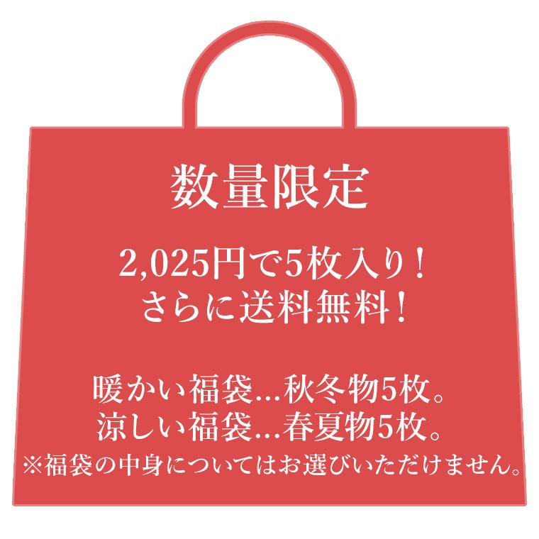 白鷺ニット 2025福袋 レディースインナー 福袋 5枚 セット 数量 白鷺ニット 2025福袋 レディースインナー 福袋 5枚 セット 数量