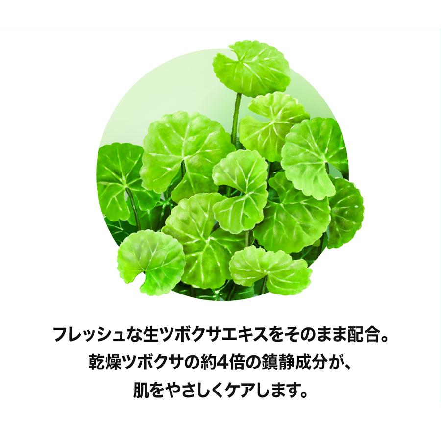 Cell Fusion C（セルフュージョンC） 【特価売り】セルフュージョンC