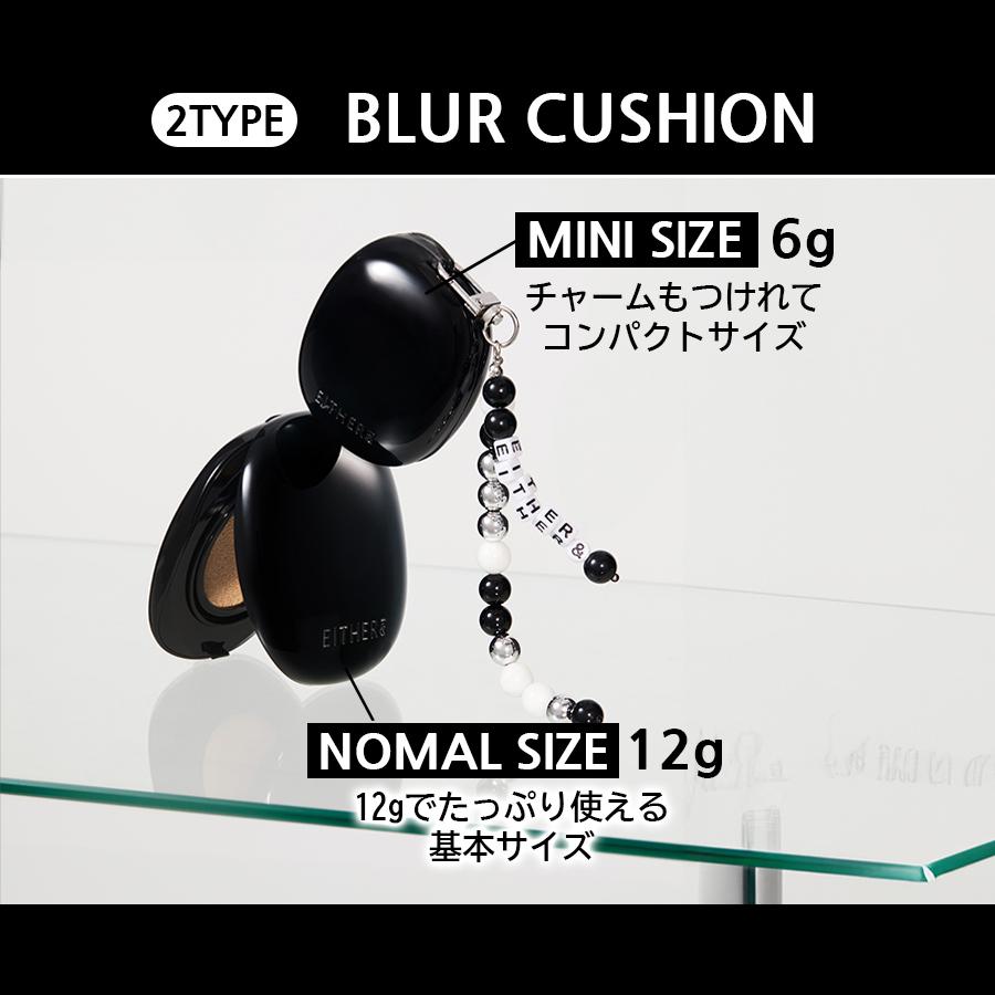 EITHER＆（イーザーアンド） 国内発送 本品12g ペブルグロウ / ブラー