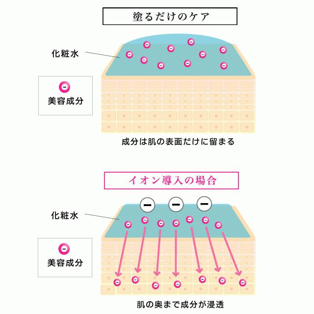 イオン導入器ブロードイオン　トライアルセット　イオン導入化粧水付　スキンロジカル　全顔15秒ケア　家庭用美顔器｜skinlogical｜09