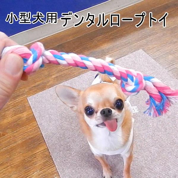 犬 おもちゃ デンタル ロープ トイ  小型犬 歯磨き ボーン チワワ 遊び｜skipdog010420｜02