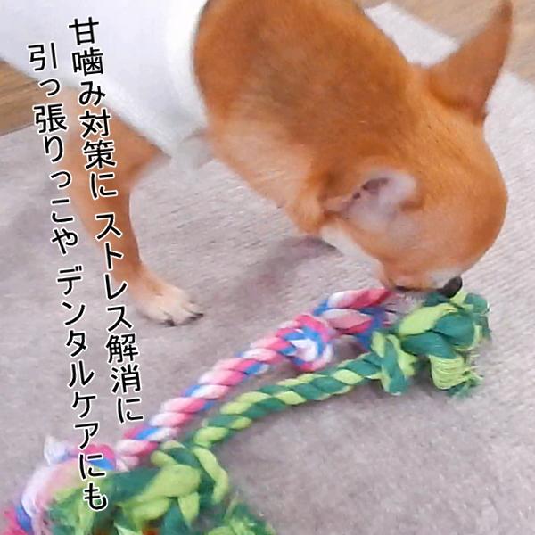 犬 おもちゃ デンタル ロープ トイ  小型犬 歯磨き ボーン チワワ 遊び｜skipdog010420｜04