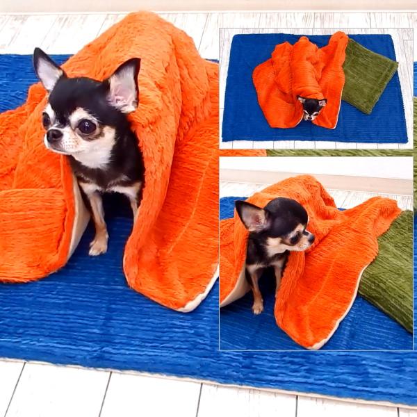 スムースボア ブランケット チワワ 小型犬 犬 ペット フリース ブランケット 起毛 マイクロファイバー マット ひざ掛け チワワ専門店スキップドッグ 通販 Yahoo ショッピング