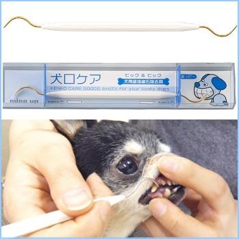 犬口ケア ピック ピック チワワ 小型犬 歯磨き 歯みがき ハミガキ チワワ専門店スキップドッグ 通販 Yahoo ショッピング