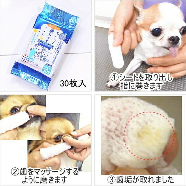 低価格化 犬猫用 ハブラシ 2個セット シリコン製 歯ブラシ 犬 猫 はぶらし 犬猫用 ハブラシ 2個セット シリコン製 歯ブラシ 犬 猫 はぶらし