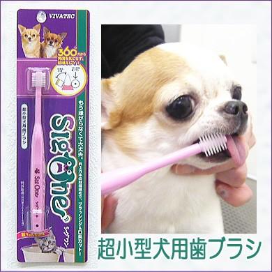 シグワン 超小型犬用歯ブラシ チワワ デンタルケア 歯磨き 小型犬 公式ストア 全国どこでも送料無料