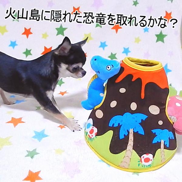 犬 ペット 知育 玩具 おもちゃ ハイド＆シーク ダイナソーワールド  人気 ノーズワーク トイ ぬいぐるみ｜skipdog010420｜03