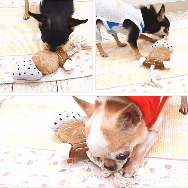 デンタル ロープ トイ おでん 犬 おもちゃ 噛む 歯磨き ケア トイ チワワ 小型犬 チワワ専門店スキップドッグ 通販 Yahoo ショッピング