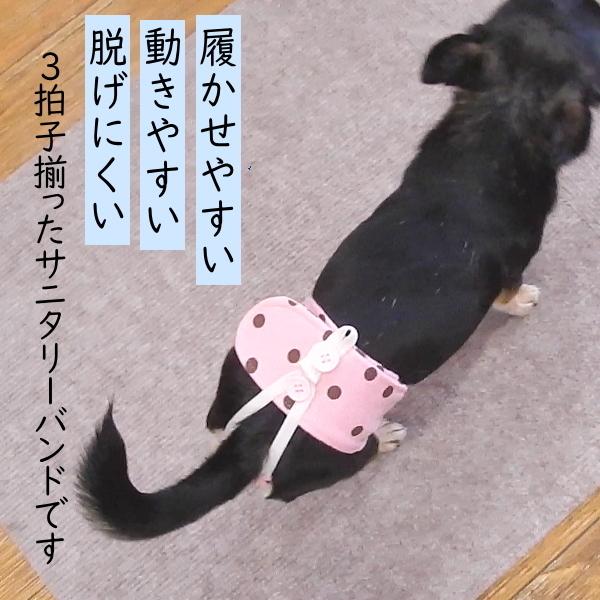 SkipDog! 犬 サニタリーパンツ ギンガムチェック   チワワ マナー パンツ｜skipdog010420｜14