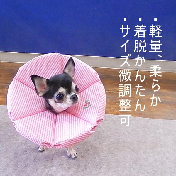 エリザベスカラー ブリリアント ウェブセイラー チワワ 小型犬 ペット 去勢 避妊 手術 介護 1962 チワワ専門店スキップドッグ 通販 Yahoo ショッピング