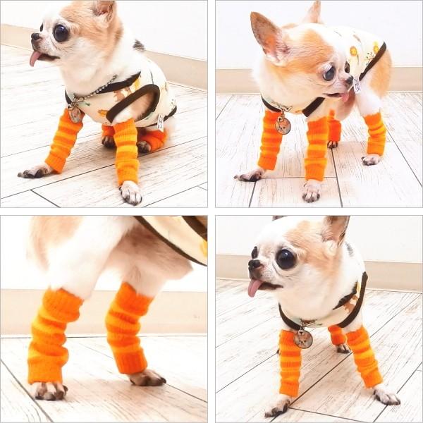 レッグガード ボーダー チワワ 小型犬 犬服 レッグウォーマー くつした ソックス 靴下 靴 レッグ 犬の服足首 前肢 犬 ペット 犬用品 足舐め防止 くつ下 保護 23 チワワ専門店スキップドッグ 通販 Yahoo ショッピング