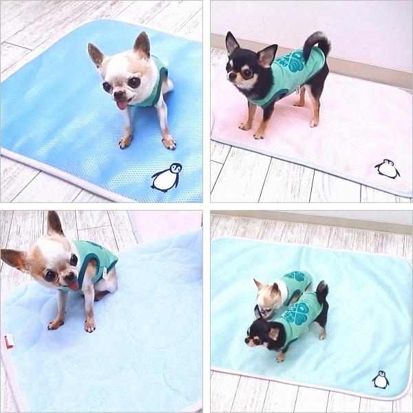 ペンギン涼マット レギュラー メッシュ パイル リバーシブル チワワ 犬 クール マット 2227 チワワ専門店スキップドッグ 通販 Yahoo ショッピング