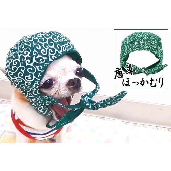唐草ほっかむり帽子 チワワ 小型犬 かぶりもの 犬 コスプレ 2281 チワワ専門店スキップドッグ 通販 Yahoo ショッピング