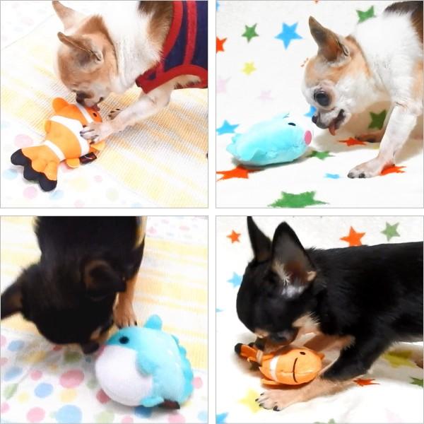 オーシャントイ 海の生き物 チワワ 犬 おもちゃ 小型犬 ペット 2295o チワワ専門店スキップドッグ 通販 Yahoo ショッピング