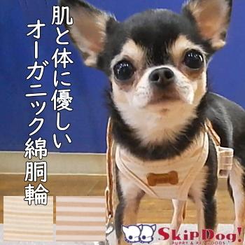 スーパー ハーネス リード フェア オーガニック チワワ 犬 ハーネス 胴輪 おしゃれ 子犬 パピー 成犬 高齢犬 リード おすすめ 人気 簡単 小型犬 ペット 2299 チワワ専門店スキップドッグ 通販 Yahoo ショッピング