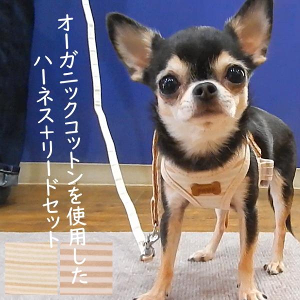 スーパー ハーネス リード フェア オーガニック チワワ 犬 ハーネス 胴輪 おしゃれ 子犬 パピー 成犬 高齢犬 リード おすすめ 人気 簡単 小型犬 ペット 2299 チワワ専門店スキップドッグ 通販 Yahoo ショッピング