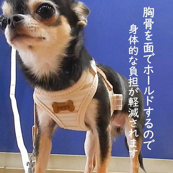 スーパー ハーネス リード フェア オーガニック チワワ 犬 ハーネス 胴輪 おしゃれ 子犬 パピー 成犬 高齢犬 リード おすすめ 人気 簡単 小型犬 ペット 2299 チワワ専門店スキップドッグ 通販 Yahoo ショッピング