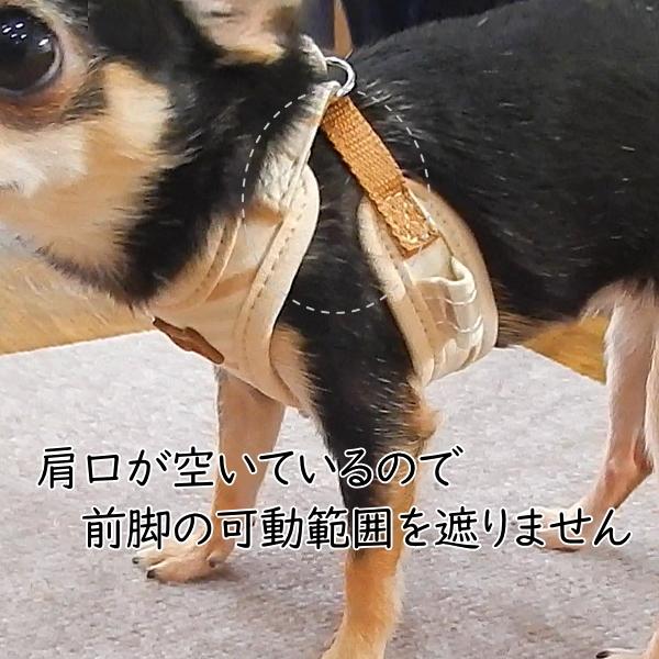スーパー ハーネス リード フェア オーガニック チワワ 犬 ハーネス 胴輪 おしゃれ 子犬 パピー 成犬 高齢犬 リード おすすめ 人気 簡単 小型犬 ペット 2299 チワワ専門店スキップドッグ 通販 Yahoo ショッピング