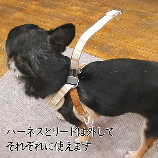 スーパー ハーネス リード フェア オーガニック チワワ 犬 ハーネス 胴輪 おしゃれ 子犬 パピー 成犬 高齢犬 リード おすすめ 人気 簡単 小型犬 ペット 2299 チワワ専門店スキップドッグ 通販 Yahoo ショッピング