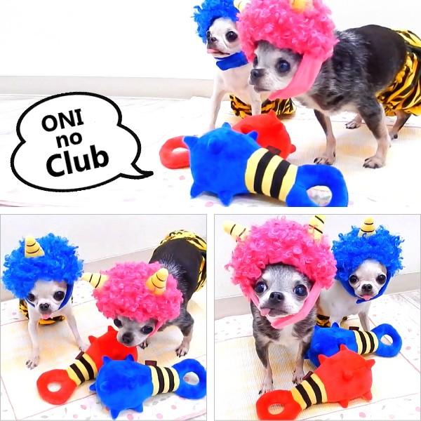 節分 鬼のこん棒 トイ 犬 おもちゃ ぬいぐるみ 噛む チワワ 小型犬 ペット 鬼 コスプレ 豆まき 2401 チワワ専門店スキップドッグ 通販 Yahoo ショッピング