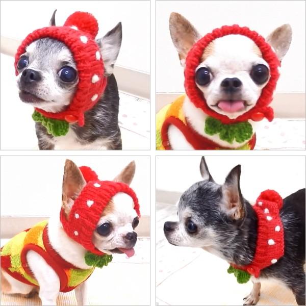 チワワ 帽子 Skipdog イチゴチワワのニット帽 犬 服 小型犬 ペット コスプレ いちご 2406 チワワ専門店スキップドッグ 通販 Yahoo ショッピング