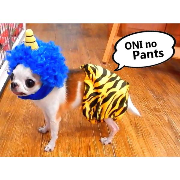 チワワ 犬 服 節分 鬼パンツ ｓサイズ 鬼 コスプレ 衣装 豆まき トラ柄パンツ 2450 チワワ専門店スキップドッグ 通販 Yahoo ショッピング