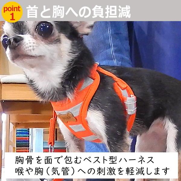 スーパー ハーネス リード ボーダー ニット   胴輪 ペット 犬 チワワ 散歩 小型犬 つけやすい 抜けない｜skipdog010420｜03