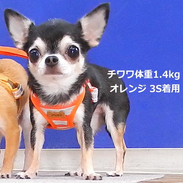 スーパー ハーネス リード ボーダー ニット   胴輪 ペット 犬 チワワ 散歩 小型犬 つけやすい 抜けない｜skipdog010420｜10