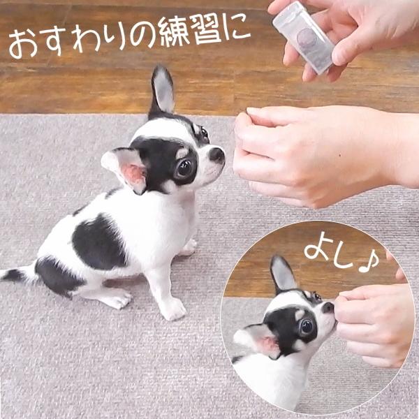 犬 おやつ ケース SkipDog! パカットケース    散歩 トリーツポーチ おやつ入れ しつけ｜skipdog010420｜04