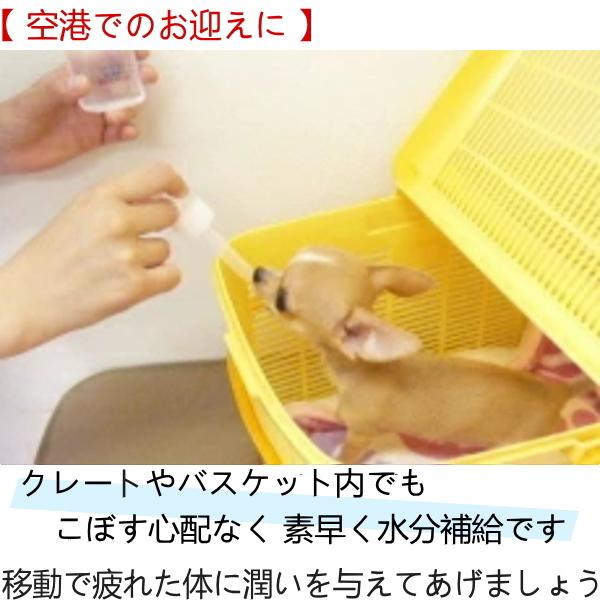 Skipdog 信用 スキップボトル 100ml 犬 水飲み ペットボトル チワワ ペット 小型犬 スポイト 給水ボトル ウォーターボトル 子犬 水分補給 給水器