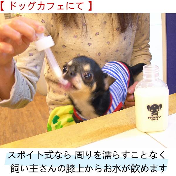スキップボトル60ml チワワ 小型犬 散歩 給水ボトル 水飲 チワワ専門店スキップドッグ 通販 Yahoo ショッピング