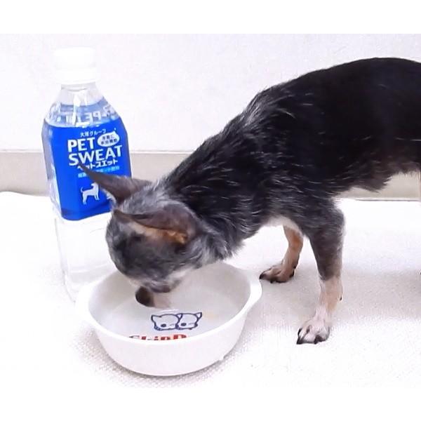 ペットスエット 2ｌ ペット用飲料水 小型犬 猫用 経口補水 水分 電解質 下痢 2600 チワワ専門店スキップドッグ 通販 Yahoo ショッピング