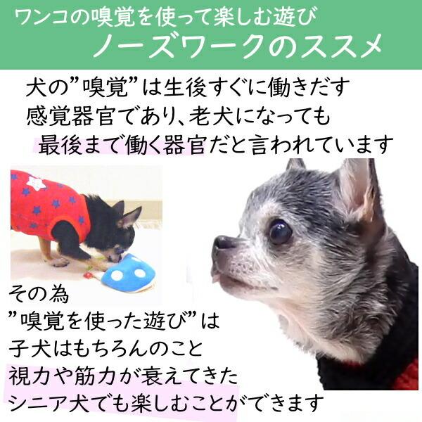 ノーズワーク にんじん いちご 畑 マット 知育玩具 犬 チワワ 知育 ノーズトレーニング 小型犬 嗅覚 宝探し 知育トイ おもちゃ おやつ 2614 チワワ専門店スキップドッグ 通販 Yahoo ショッピング