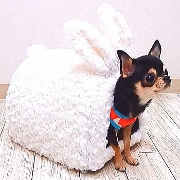 うさみみドームベッド ホワイト うさふわハウス チワワ 犬 ベッド ベット 小型犬 ドーム 屋根付き 保温 子犬 パピー ドームハウス カドラー 2618 チワワ専門店スキップドッグ 通販 Yahoo ショッピング