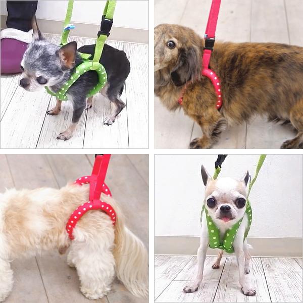 サポートリングハーネス ドーナツ プチドット   チワワ 小型犬 犬 ペット 胴輪 シニア 老犬 介護 術後｜skipdog010420｜06