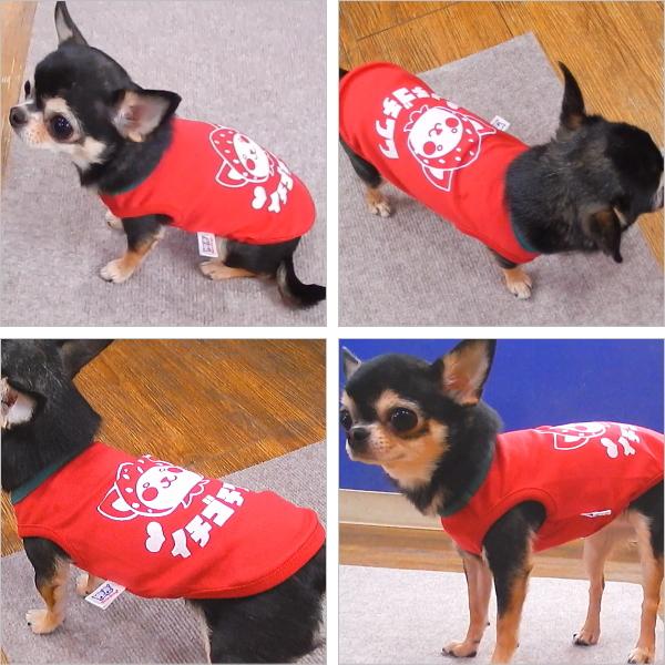 超激安 犬服 SS 接触冷感いちご タンクトップ 8599.14円 ペット用品
