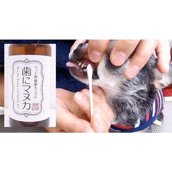 犬 デンタル 歯磨き 天然三六五 歯にマヌカPK 子犬 子猫 マヌカハニー ジェル 2898チワワ専門店スキップドッグ! 通販 Yahoo!ショッピング