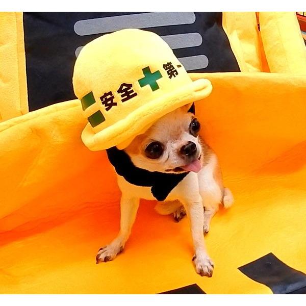 安全第一ヘルメット帽子 Mサイズ チワワ 小型犬 犬 ペット 帽子 キャップ 犬用 かぶりもの コスプレ 工事 現場 建設 2931 チワワ専門店スキップドッグ 通販 Yahoo ショッピング