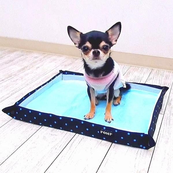 2020年版 犬用トイレトレーおすすめ19選 ワイドサイズや固定できる商品も紹介 マイナビおすすめナビ