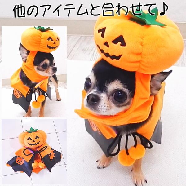 ハロウィン帽子 パンプキンキャップ Mサイズ チワワ 犬 ハロウィン 仮装 コスプレ 衣装 帽子 3097 チワワ専門店スキップドッグ 通販 Yahoo ショッピング