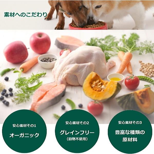 ソルビダ グレインフリー チキン 室内飼育成犬用 5 8kg アダルト チワワ 小型犬 オーガニック 小粒 ドッグフード アダルト 成犬用 チワワ専門店スキップドッグ 通販 Yahoo ショッピング