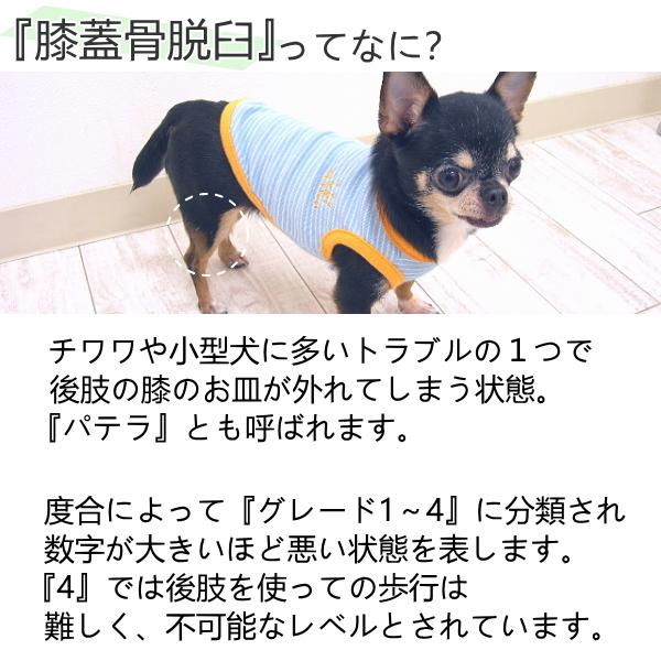 ネイチャーベット アースリアーマー1粒 チワワ 小型犬 膝 関節 膝蓋骨 グルコサミン コンドロイチン 犬用 サプリメント ペットのサプリ チワワ専門店スキップドッグ 通販 Yahoo ショッピング