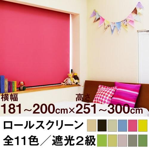 ロールスクリーン SHADE 遮光２級（遮光率99.8％以上／安眠生地） 横幅181〜200cm ×　高さ251〜300cm オーダー メイド 立川機工製