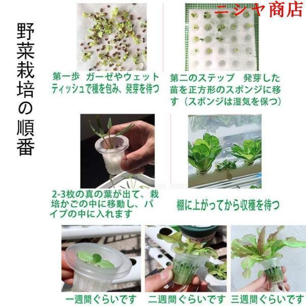 水耕栽培キット すいこう栽培キット 野菜 栽培キット 室内