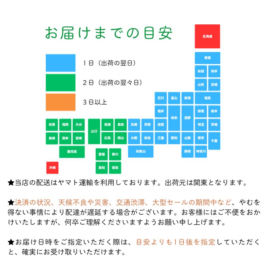 BOOX 【13インチ】BOOX TabXC 13インチカラー電子ペーパータブレットPC